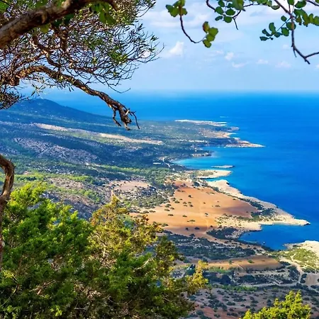 King Evelthon & リゾート