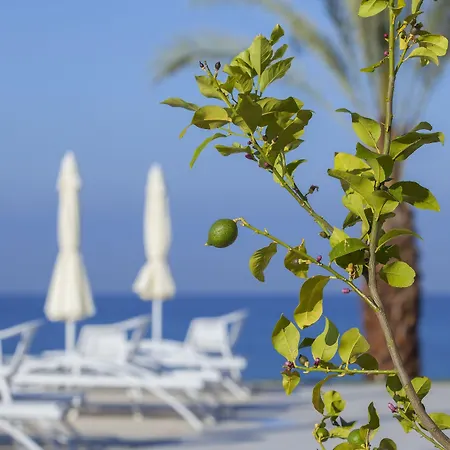 リゾート King Evelthon & Klorakas