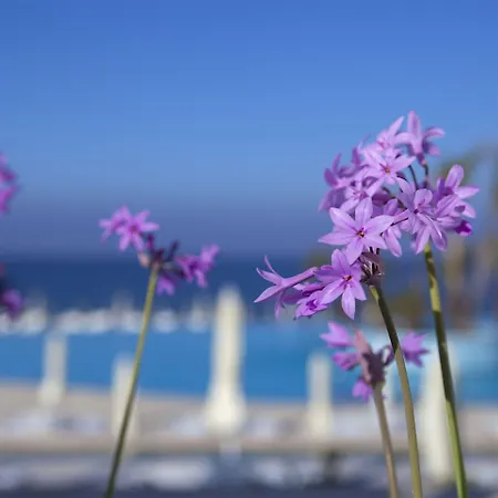 King Evelthon & リゾート