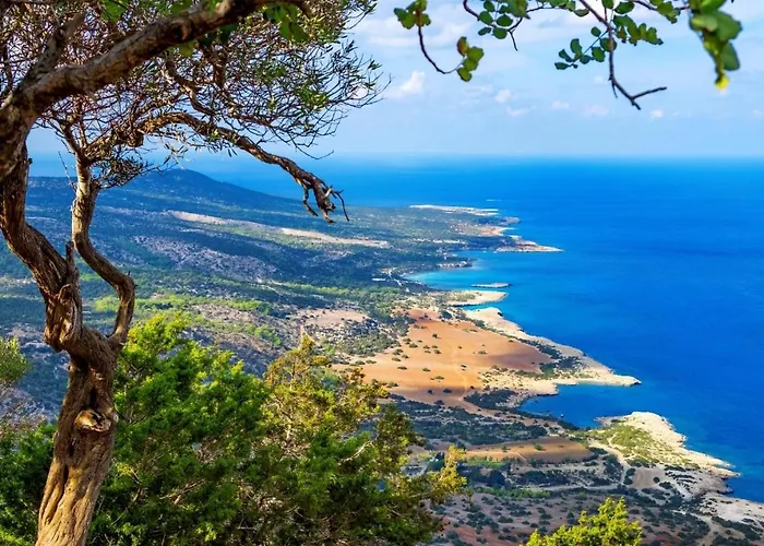 King Evelthon & Θέρετρο