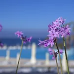 King Evelthon & Resort