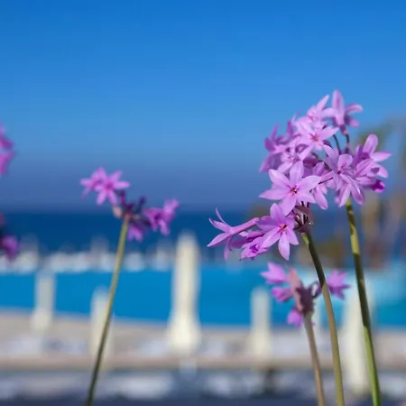 King Evelthon & Resort