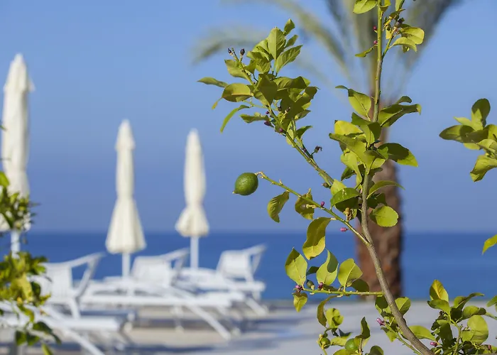 Resort King Evelthon & Klorakas