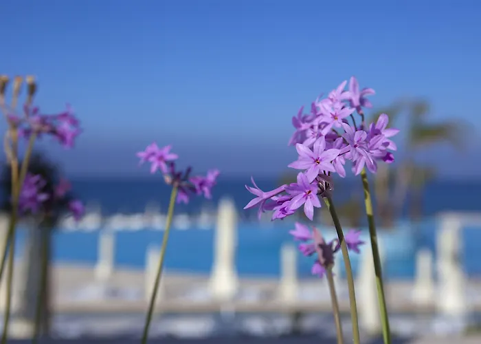 King Evelthon & Resort